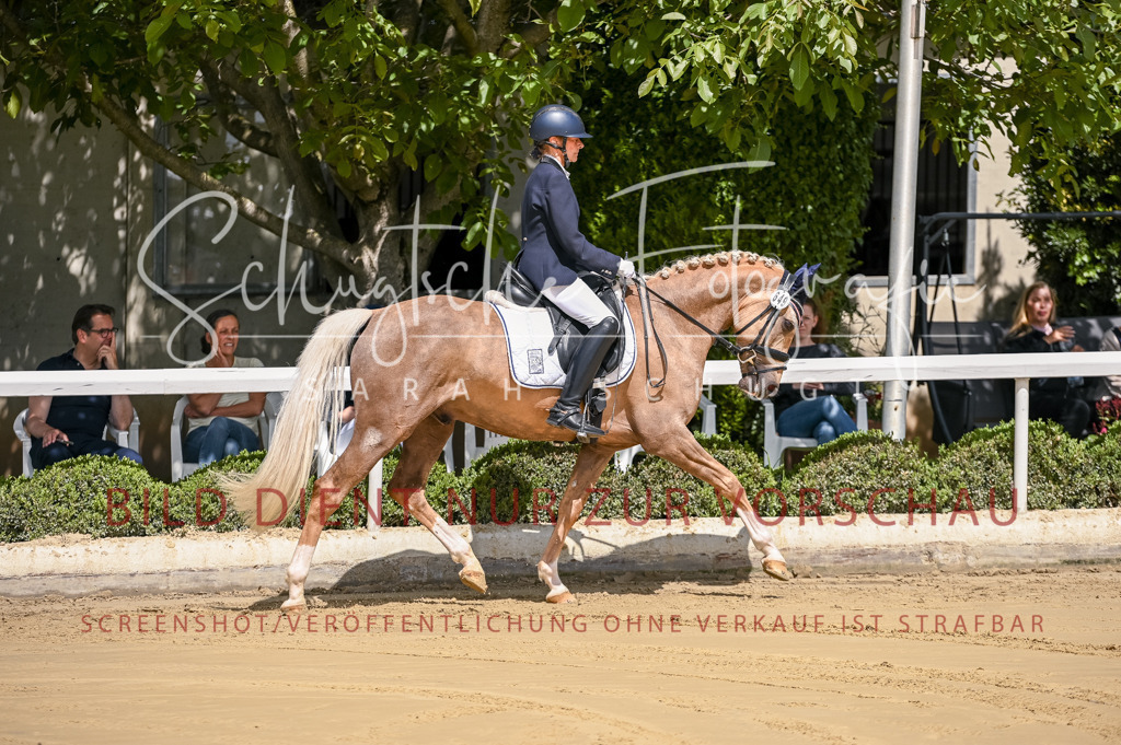 Schugtsche-Aluta25-48.Reitpferfdeprf.-11 | Schugtsche Fotografie - Realisiert mit Pictrs.com