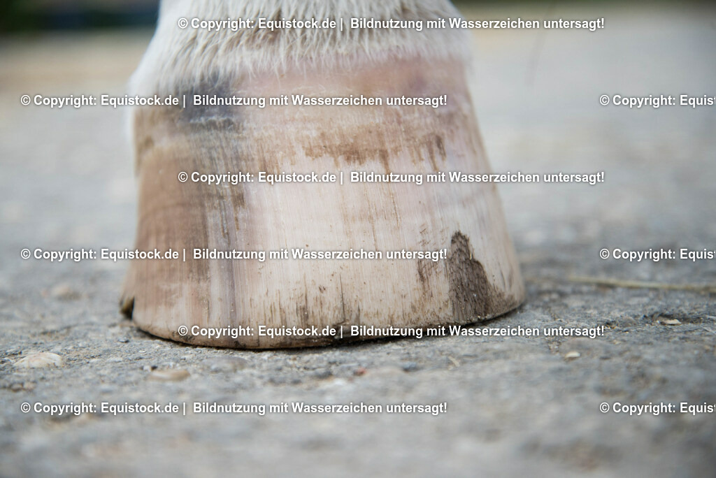 20160626_Ausgefranster_Tragerand_0002 | Foto: Thomas Hartig