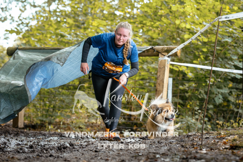1420DZ6_1648Z6 | kk-dogfotos
