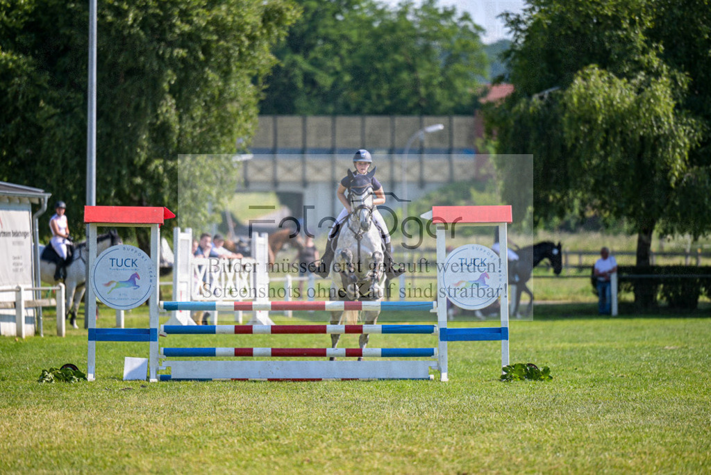 Reitturnier Voxtrup | Entdecke hochwertige Reitturnierfotos von Foto Oger. Professionell, emotional und authentisch – jetzt Lieblingsmomente im Shop bestellen. - Realisiert mit Pictrs.com
