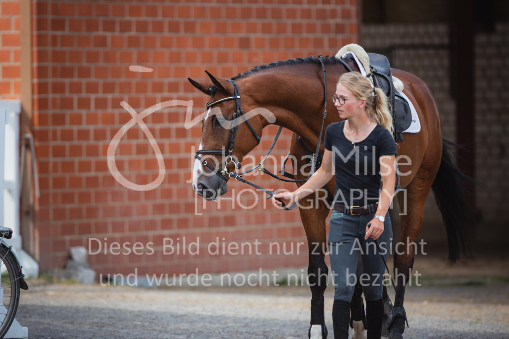 220705_Mühlen_SprPf-M-601 | Late Entry Mühlen
05.07.2022
06 Springpferdeprüfung Kl.M*