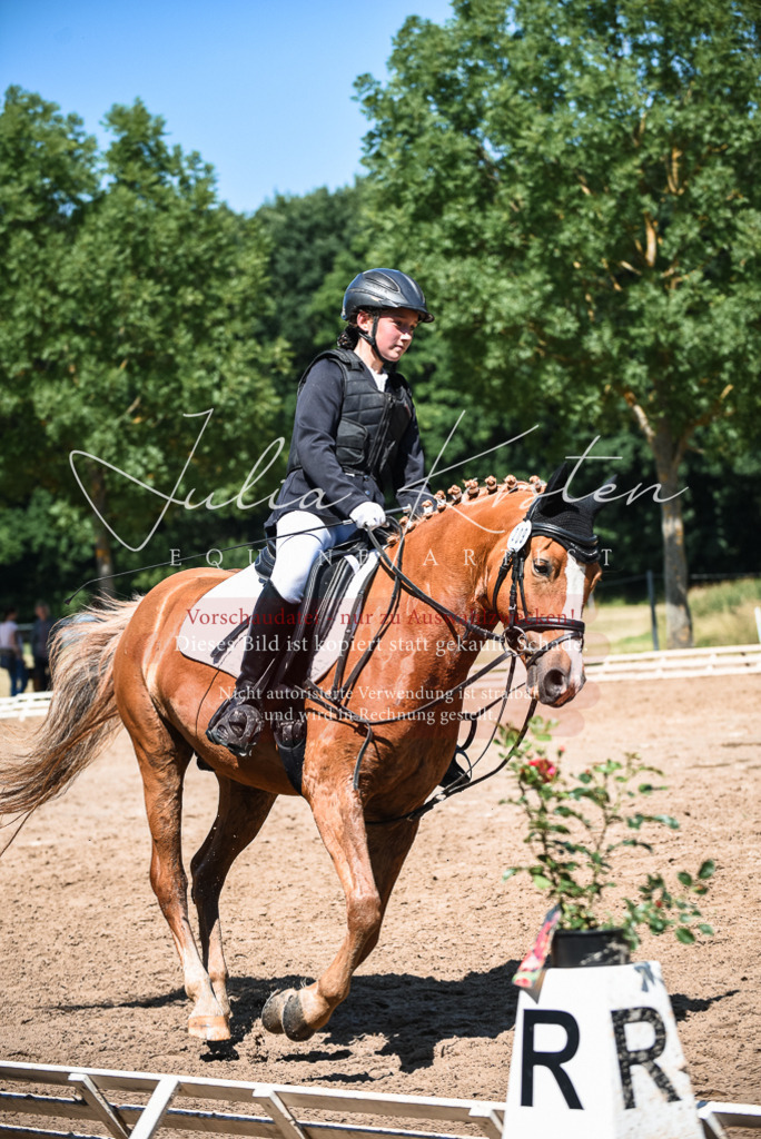 DSC_3289 | Pferde- und Turnierfotografie in Westsachsen. Pferdeportraits, Auftragszeichnungen und intuitive Kunst.