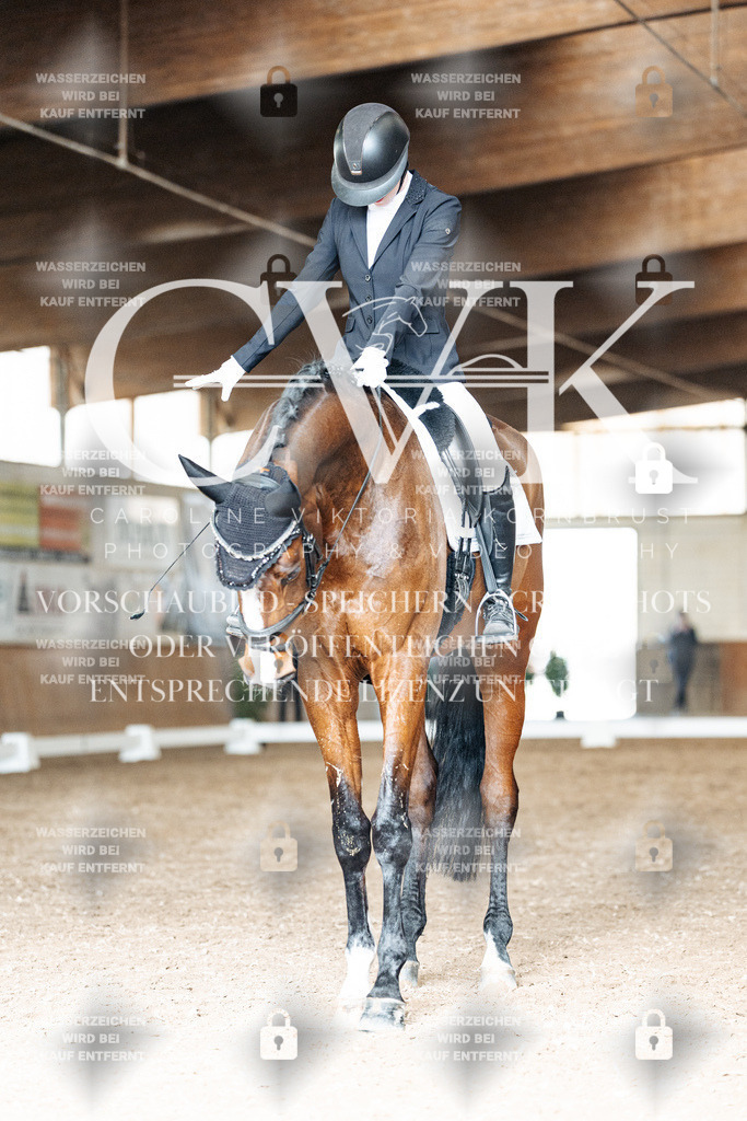 CK901804 | Turnierfotografie Pferdefotografie Trier Rheinland-Pfalz Pferdesport Reitsport Tierfotografie Sportfotografie Pferdevideo Pferdevideografie Equestrianvideography equestrianphotography  - Realisiert mit Pictrs.com