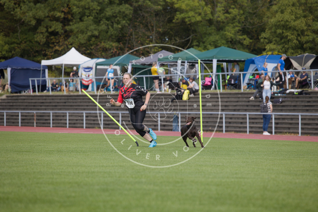 0L8A3453 | Hundefotografie, Tierfotograf, Pfotenfotografie, Fotoshooting Hund, Hunde Portrait, Hundesport, Hundeportraits, Heideshooting, Hunde, Sportfotograf, Hundefotograf, Turnierhundsport, THS,  - Realisiert mit Pictrs.com