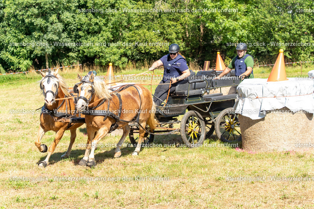 2026-08-08_14-45-34_WBO_Pulsnitz | sternberg.click - Realisiert mit Pictrs.com