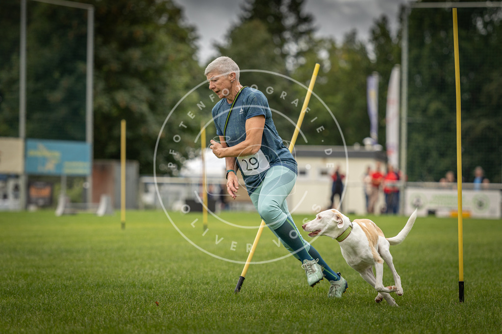 Pfotenfotografie_DV3A8283 | Hundefotografie, Tierfotograf, Pfotenfotografie, Fotoshooting Hund, Hunde Portrait, Hundesport, Hundeportraits, Heideshooting, Hunde, Sportfotograf, Hundefotograf, Turnierhundsport, THS,  - Realisiert mit Pictrs.com