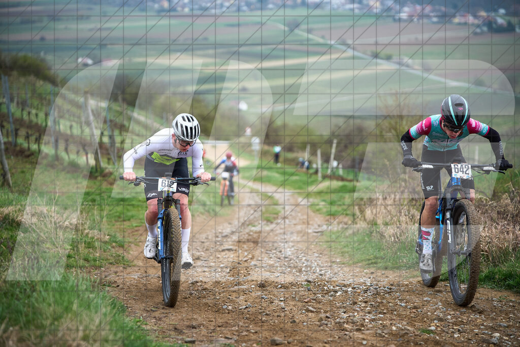 34. KTM Kamptal Trophy  | ZÖBING, Österreich – 2026-03-29: 34. KTM Kamptal TrophyFoto: © 2026 Martin Bihounek - MB Creative e.U.