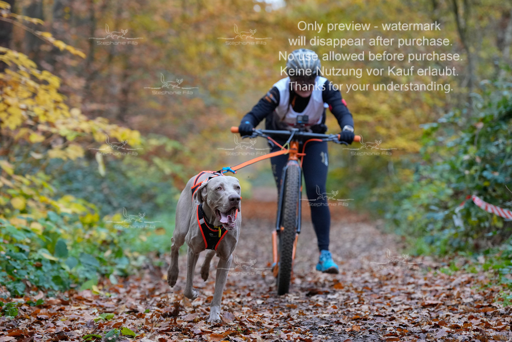 Scooter_So-31 | stephaniefillaphotographie - Realisiert mit Pictrs.com