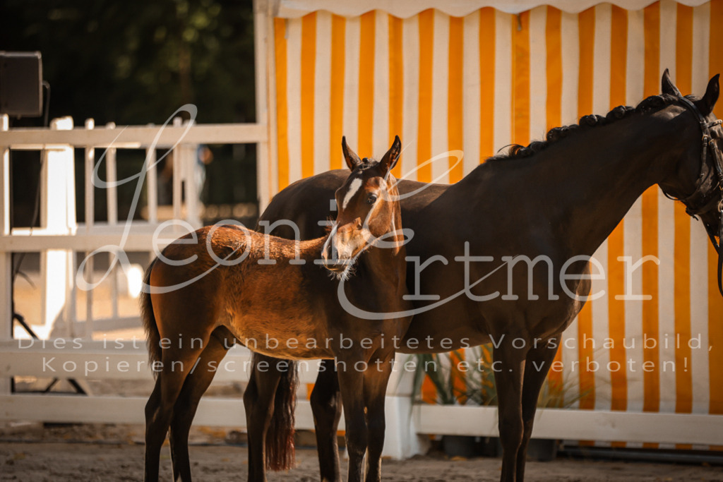 11.DoRP00055 | Leoni Ertmer Photography - Realisiert mit Pictrs.com