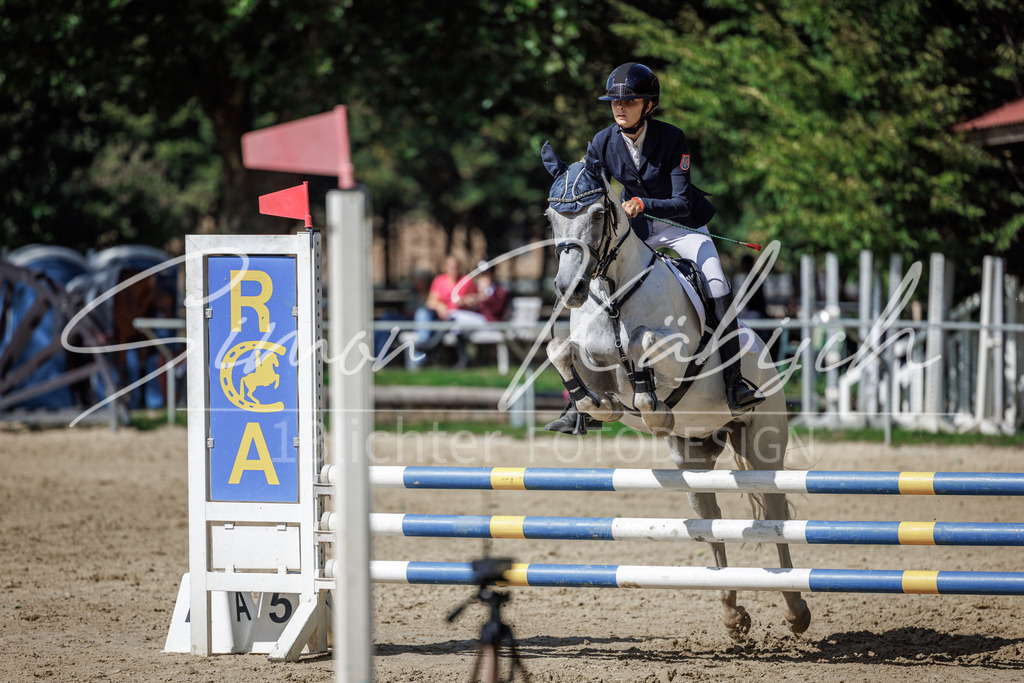 20260905-_3LI9336 | Tierfotografie Pferde, Hunde, Katzen, Haustiere.
Turnierfotografie Reitturniere, Reiten, Springreiten, Dressur in Hanau, dem Main-Kinzig-Kreis und dem Rhein-Main- Gebiet um Frankfurt