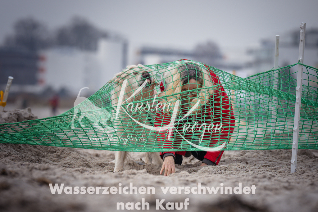 1149_ZZ90890 | kk-dogfotos