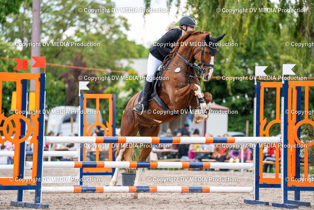 Eppelheim Tag 2-552 | dv-media-shop - Realisiert mit Pictrs.com