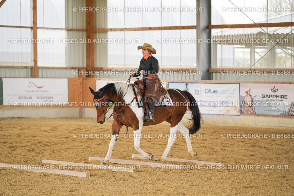 DSC03400 | Pferdegrafie