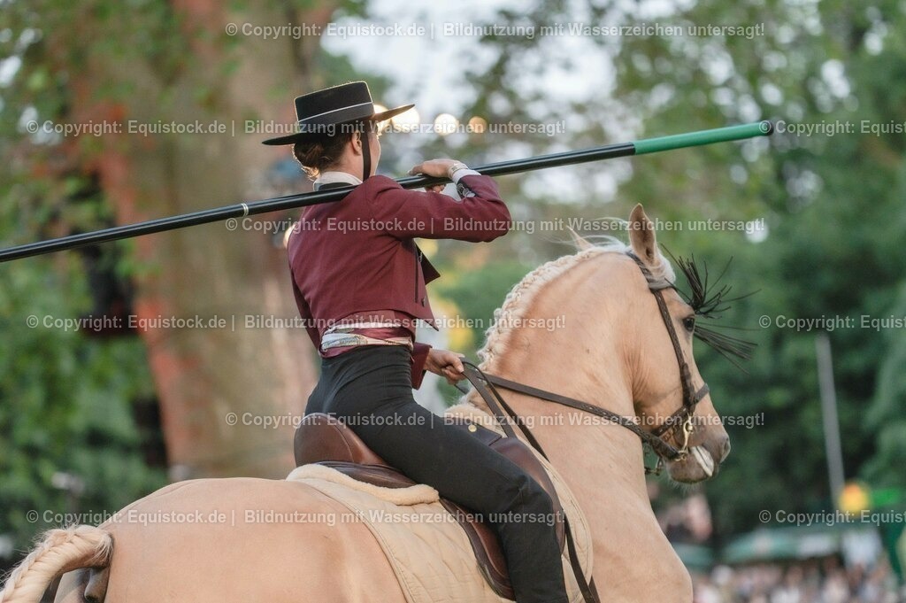 20230526_Pferdenacht_0745 | equistock