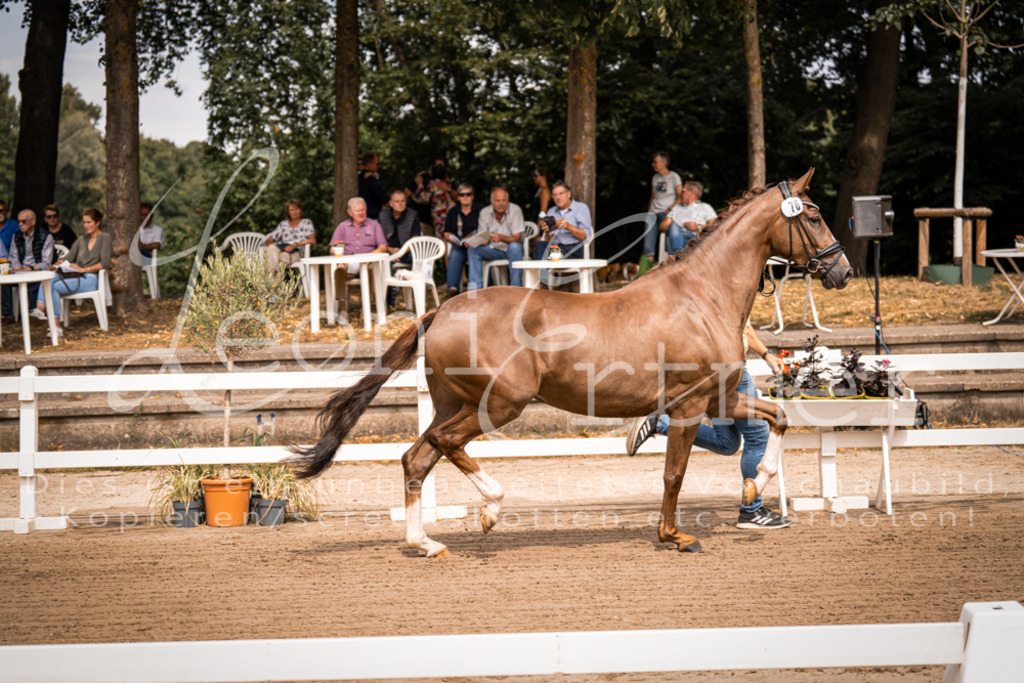 4.Fr00042 | Leoni Ertmer Photography - Realisiert mit Pictrs.com