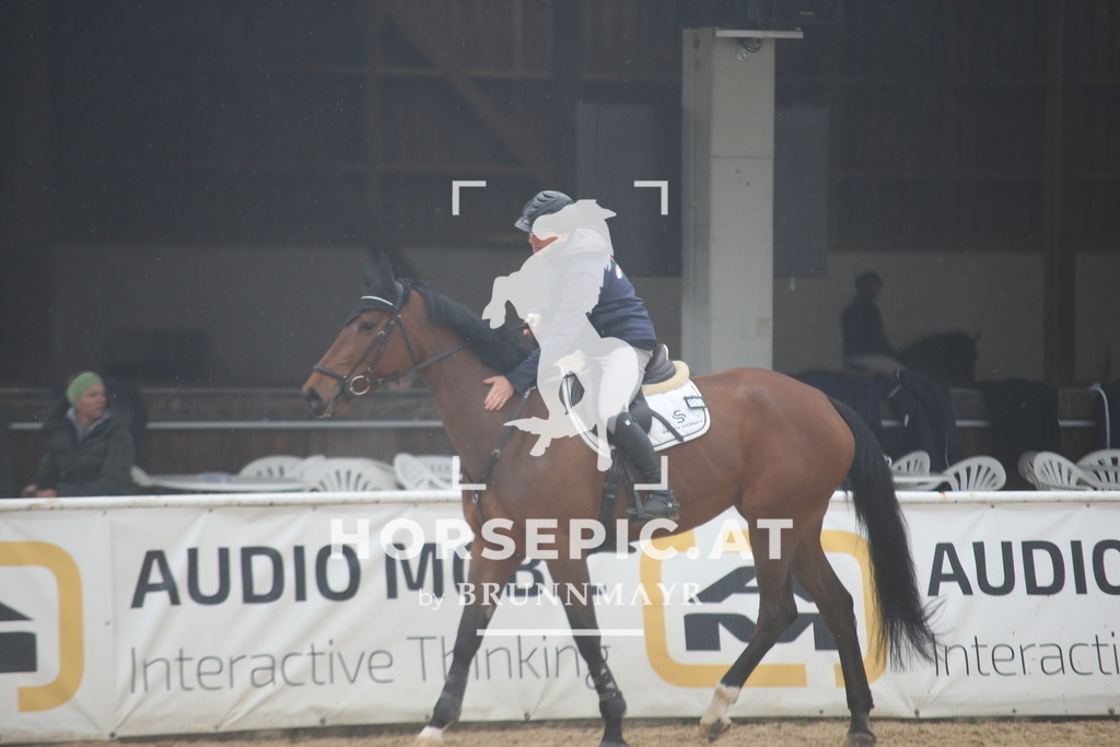 AS8V8805 | Willkommen bei Brunnmayr - Design & Fotografie – Ihrem Spezialisten für Reitturniere und Pferdeveranstaltungen in Oberösterreich, Salzburg und Bayern! Seit über 17 Jahren sind wir leidenschaftlich dabei.