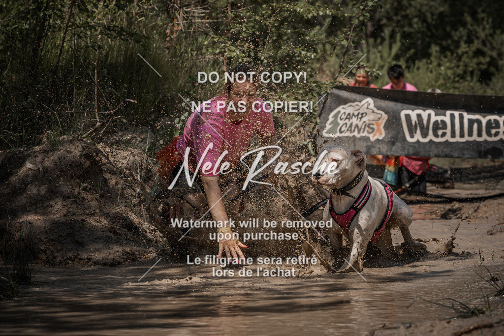 nelerasche_Hoope2026_Sa1330-1400_31 | nelerasche
