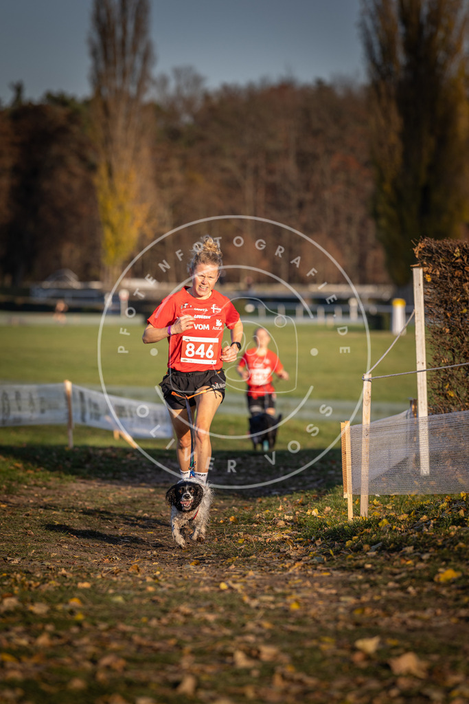 CaniXpix_DV3A3779 | Hundefotografie, Tierfotograf, Pfotenfotografie, Fotoshooting Hund, Hunde Portrait, Hundesport, Hundeportraits, Heideshooting, Hunde, Sportfotograf, Hundefotograf, Turnierhundsport, THS,  - Realisiert mit Pictrs.com
