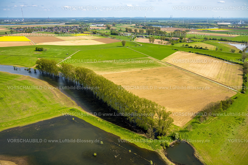 Wesel240402193BislicherInsel-Wesel | Luftbild, NSG Naturschutzgebiet Bislicher Insel Auenlandschaft, Schwarzer Graben mit Baumallee, Seenlandschschaft mit Wiesen und Feldern und Fernsicht, Ginderich, Wesel, Niederrhein, Nordrhein-Westfalen, Deutschland