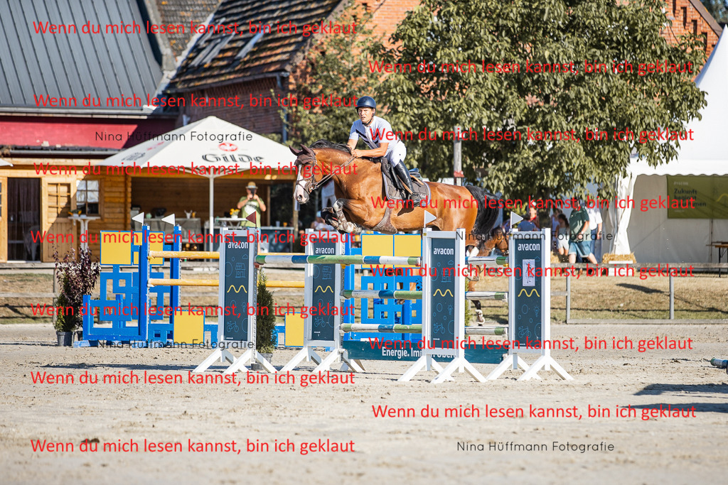 BK1A8658 | Turnierbilder Turnierfotos Nina Hüffmann Turnierfotografie Pferdefotografie Tierzeichnung Haustierzeichnung Pferdezeichnung Hundezeichnung Videograf  - Realisiert mit Pictrs.com
