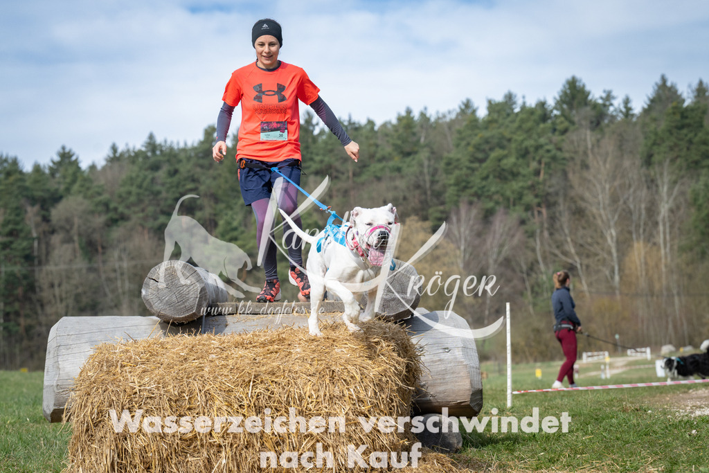 1034_ZZ92686 | kk-dogfotos