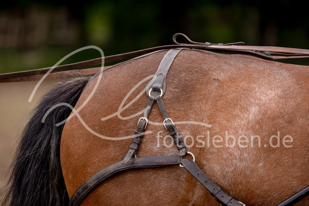 846A0737 | fotosleben - Realisiert mit Pictrs.com