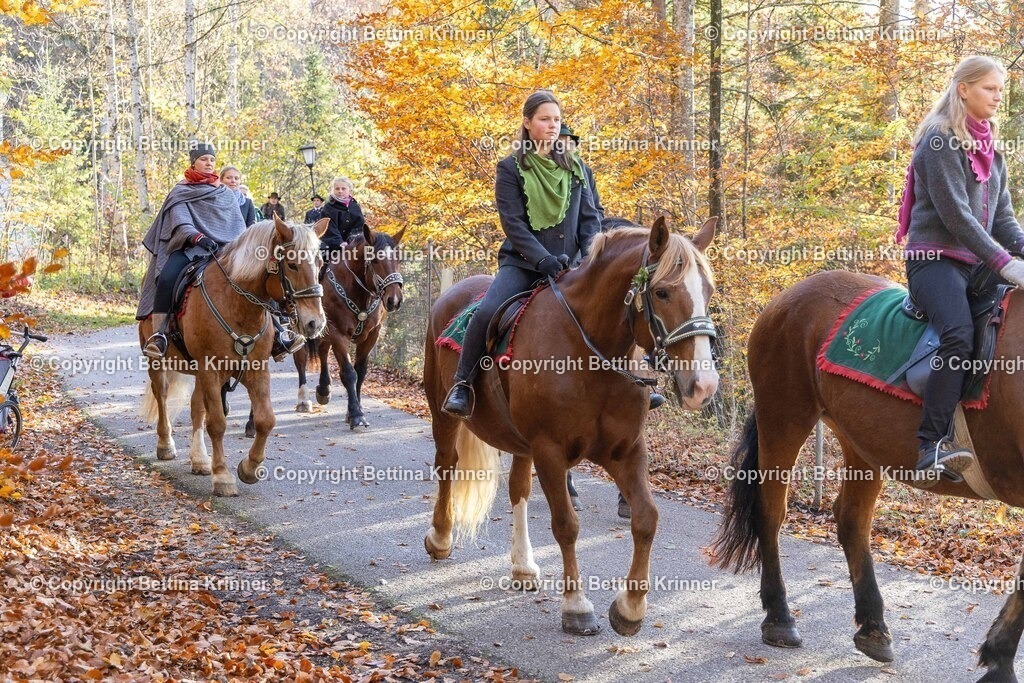 LL24-324 | foto-bettina-krinner - Realisiert mit Pictrs.com
