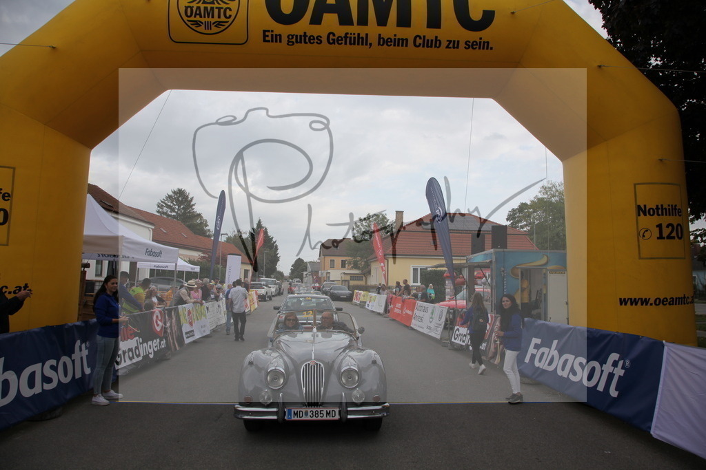 IMG_6042 | Gerhard Witt