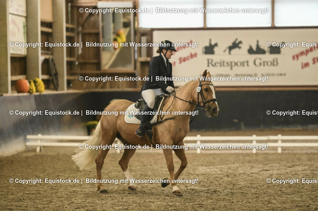 20231029_02_Reiter-WB_Schritt-Trab-Galopp_Abteilung-01_0040 | Foto: Thomas Hartig