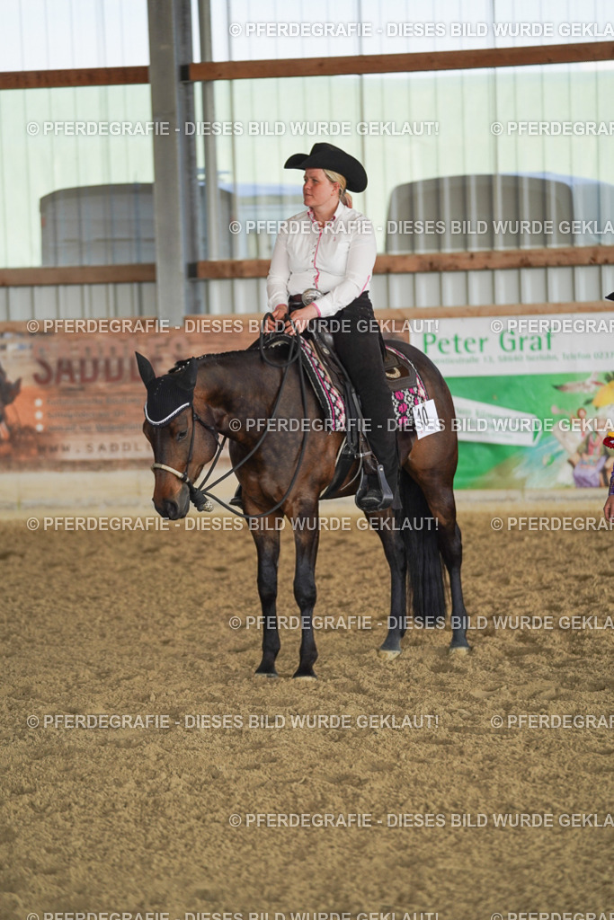 DSC00012 | Pferdegrafie