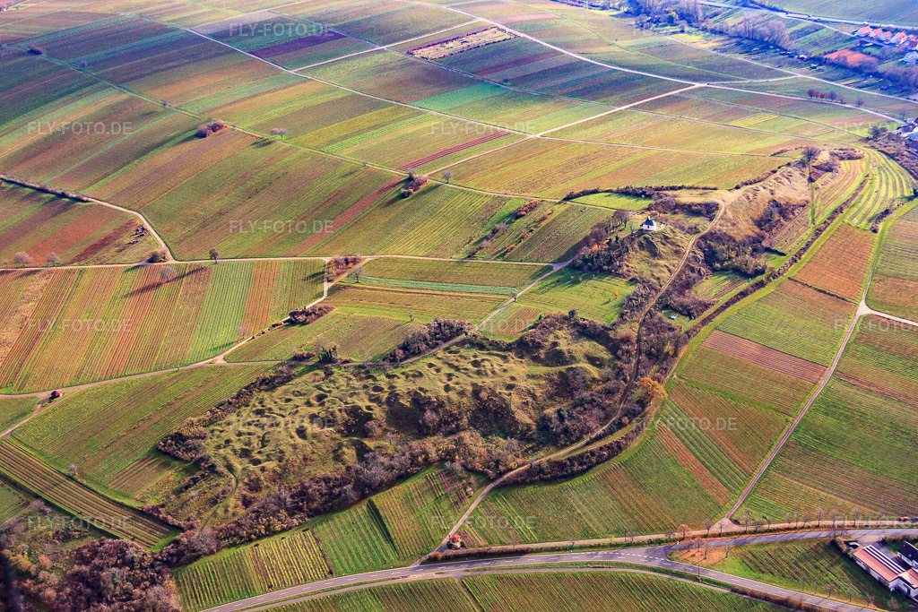 Luftbild: Naturschutzgebiet Kleine Kalmit im Winter von Norden im Ortsteil Arzheim in Landau im Bundesland Rheinland-Pfalz in Deutschland. Foto: IMG_61291.jpg vom 30.11.2013 durch Werner Riehm/FLY-FOTO.de
