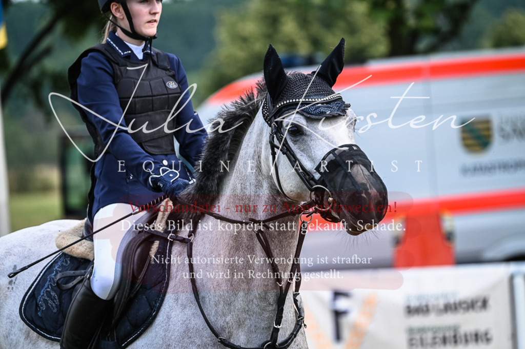 DSC_8134 | Pferde- und Turnierfotografie in Westsachsen. Pferdeportraits, Auftragszeichnungen und intuitive Kunst.