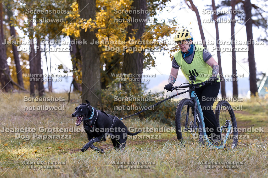 Dog Paparazzi - Elsholz 25 -177 | Dog Paparazzi Jeanette Grottendiek Fotografie & Videografie