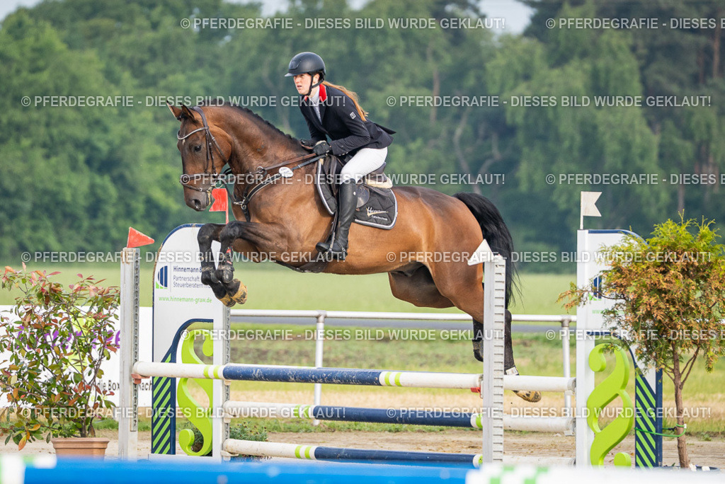 DSC07837 | Pferdegrafie