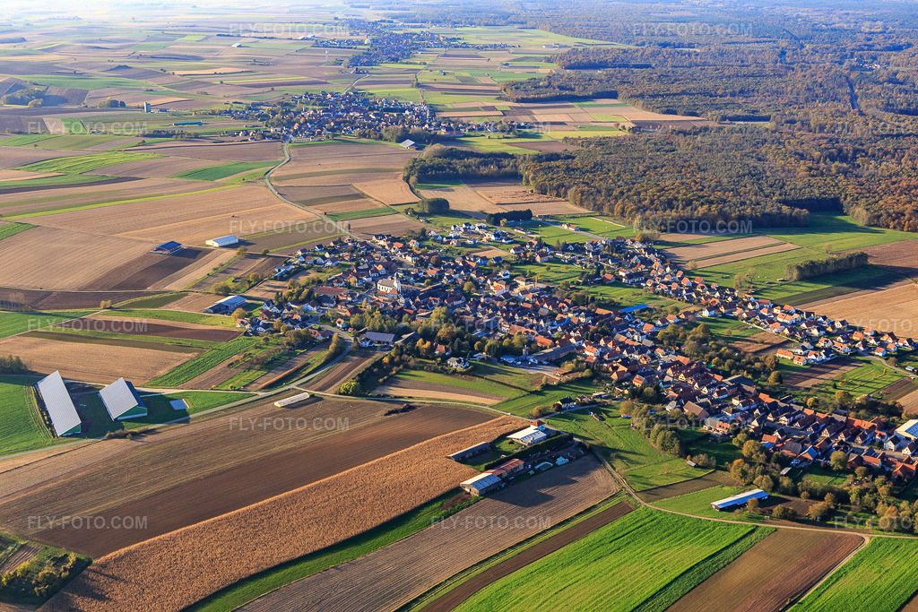 Aerial view: View of the town from the southeast in Niederlauterbach in the state Bas-Rhin, France. – Photo: IMG_104385.jpg taken on 10/31/2017 by Werner Riehm/FLY-FOTO.com – Resolution of the original: 5472 x 3648 px