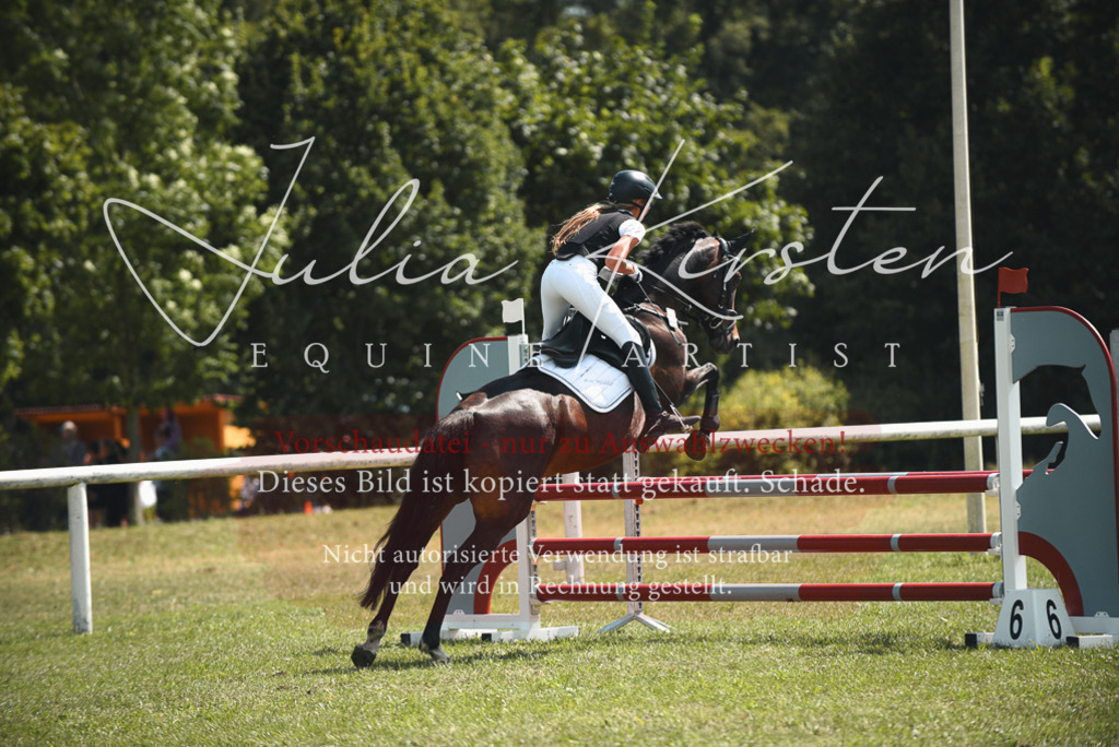 DSC_6618 | Pferde- und Turnierfotografie in Westsachsen. Pferdeportraits, Auftragszeichnungen und intuitive Kunst.