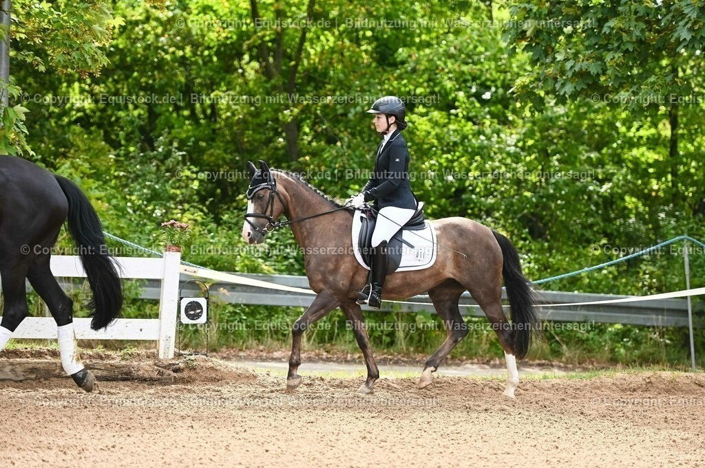 20230716_10-1_Reiter-WB Schritt - Trab - Galopp_0057 | equistock