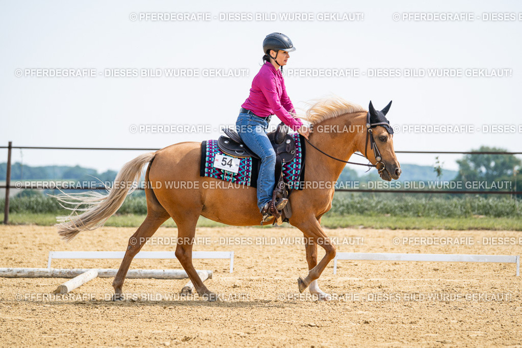 DSC00314 | Pferdegrafie