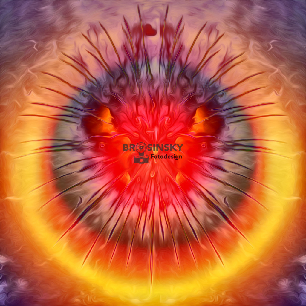 IMG_20260911_215142_5_0855_frei +8445_9_6 | brosinskyfotodesign-shop - Realisiert mit Pictrs.com