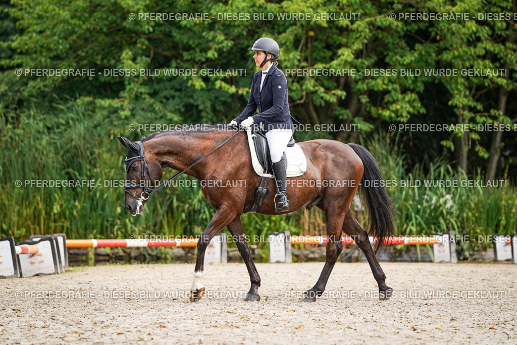 DSC00361 | Pferdegrafie