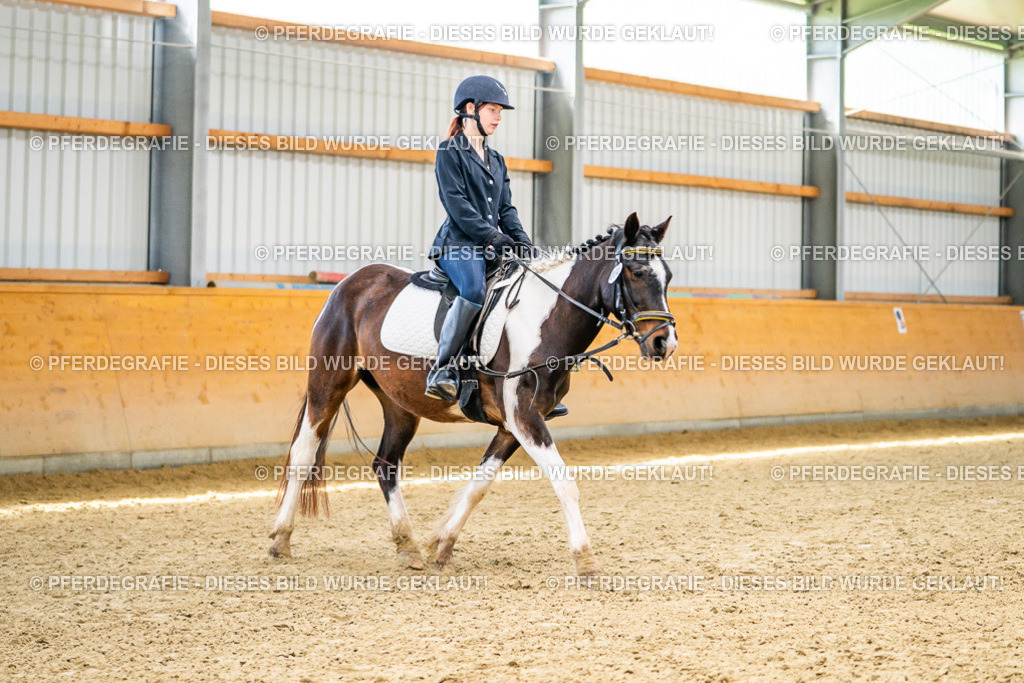 DSC03675 | Pferdegrafie