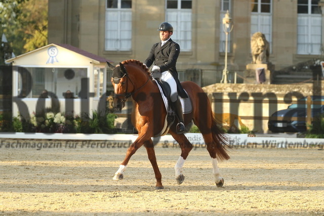 Ludwigsburg_2022_Prfg.Nr.02_FEI Intermediaire I_Marc Lingelbach_Feuertanz 21 (12) | Alle Fotos der Reiterjournal Fotografin Doris Matthaes im Reiterjournal Online-Fotoshop. - Realisiert mit Pictrs.com
