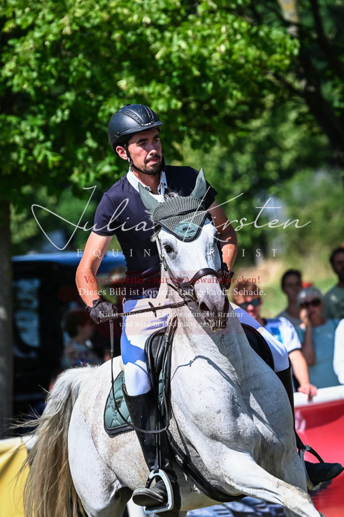 DSC_1135 | Pferde- und Turnierfotografie in Westsachsen. Pferdeportraits, Auftragszeichnungen und intuitive Kunst.