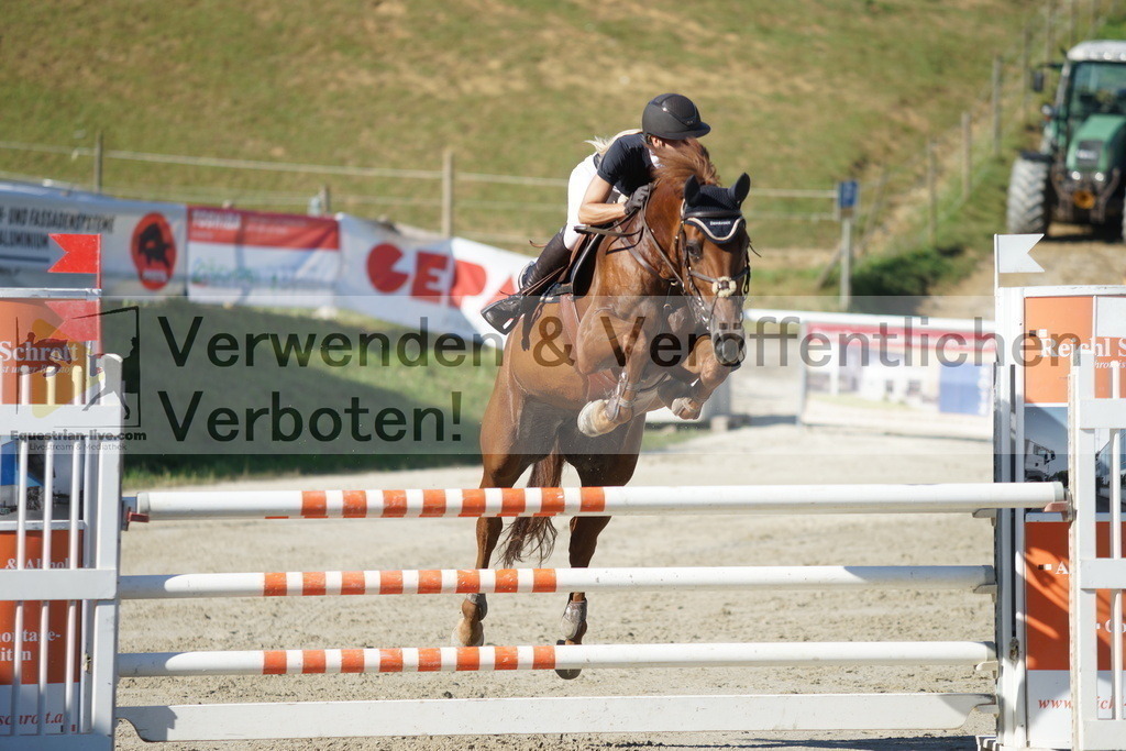 DSC01165 | equestrian-live-com