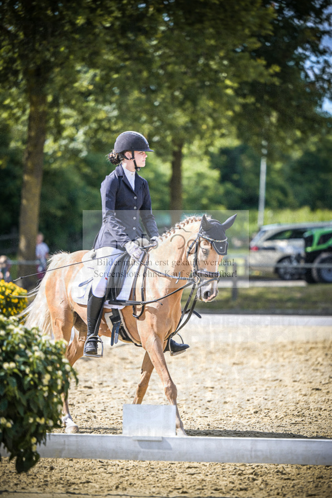 DOS_7825 | Entdecke hochwertige Reitturnierfotos von Foto Oger. Professionell, emotional und authentisch – jetzt Lieblingsmomente im Shop bestellen.Deutschlandweite Turnierfotografie. - Realisiert mit Pictrs.com