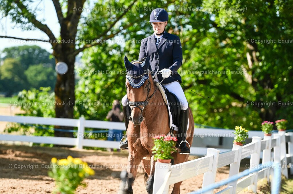 20230715_06_Dressurpferdeprfg. Kl.A_0210 | equistock