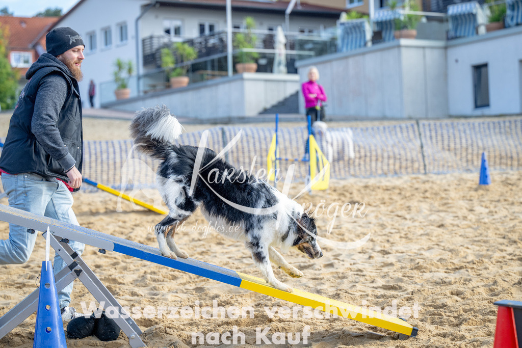 0958_ZZ93271 | kk-dogfotos