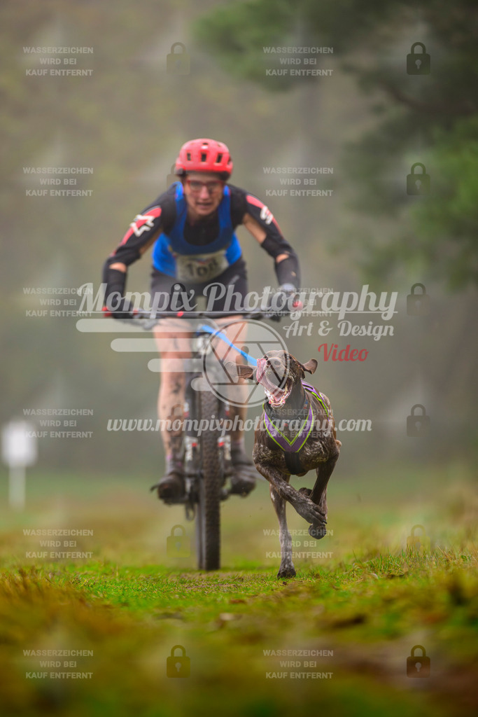 MompixPhotography_Bischwiller2025_Bike-6 | mompixphotography