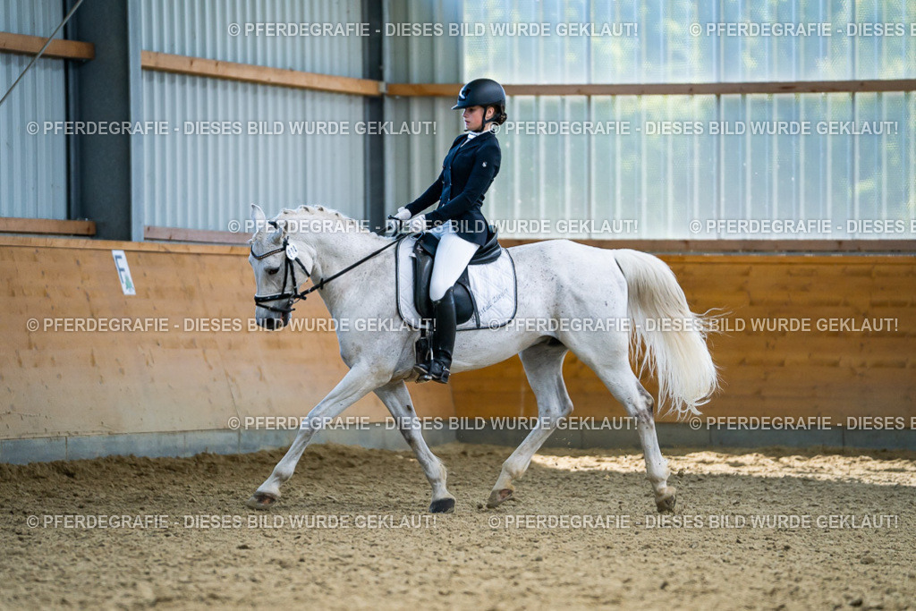 DSC05540 | Pferdegrafie