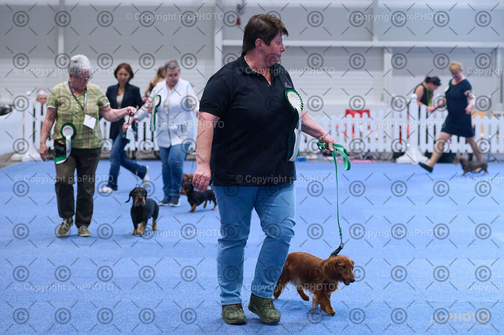 202406_ÖKV-IHA-Tulln24_DSC_3884 | proPHOTO - Realisiert mit Pictrs.com